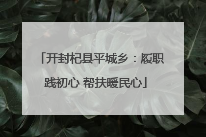 开封杞县平城乡：履职践初心 帮扶暖民心