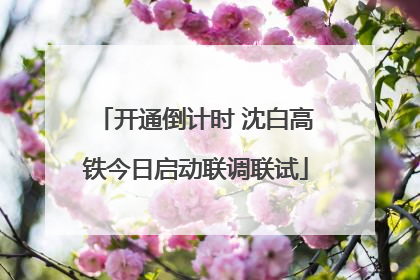 开通倒计时 沈白高铁今日启动联调联试
