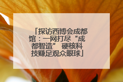 探访西博会成都馆：一网打尽“成都智造” 硬核科技赚足观众眼球