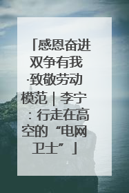 感恩奋进 双争有我·致敬劳动模范｜李宁：行走在高空的“电网卫士”
