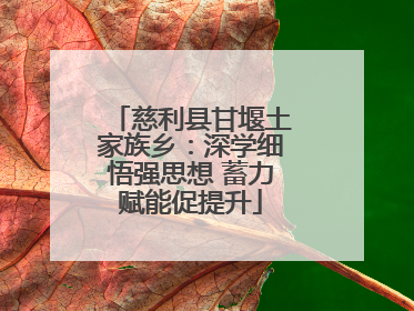 慈利县甘堰土家族乡：深学细悟强思想 蓄力赋能促提升