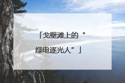 戈壁滩上的“绿电逐光人”