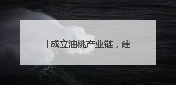 成立油桃产业链，建立“常态一季一议、要事一事一议”联席议事机制，山东省日照市莒县果庄镇——13个党小组“全周期”育果