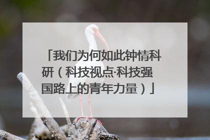 我们为何如此钟情科研（科技视点·科技强国路上的青年力量）