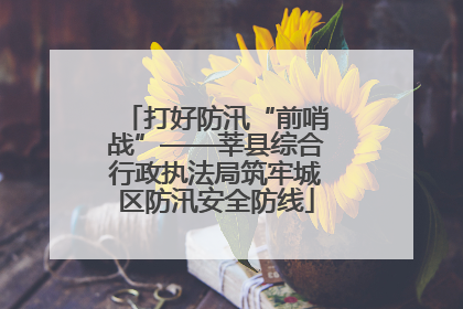 打好防汛“前哨战”——莘县综合行政执法局筑牢城区防汛安全防线