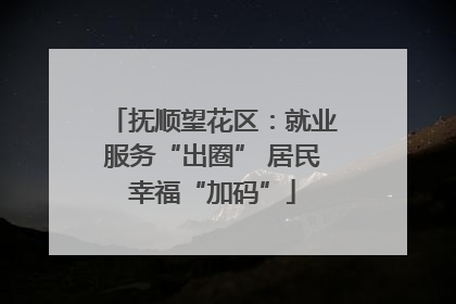 抚顺望花区：就业服务“出圈” 居民幸福“加码”
