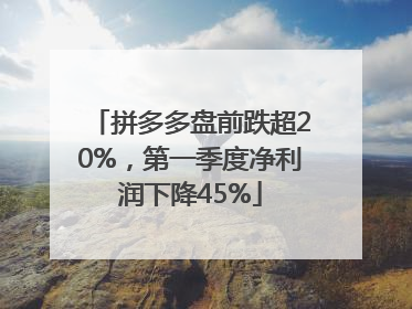 拼多多盘前跌超20%，第一季度净利润下降45%