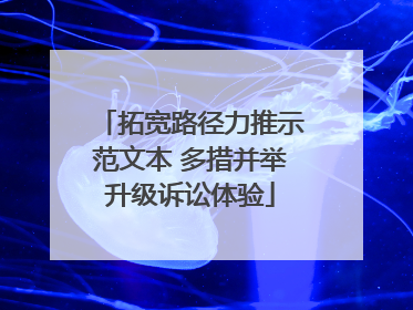 拓宽路径力推示范文本 多措并举升级诉讼体验