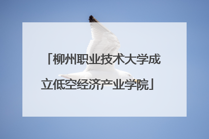 柳州职业技术大学成立低空经济产业学院