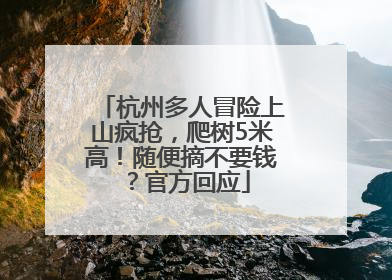 杭州多人冒险上山疯抢，爬树5米高！随便摘不要钱？官方回应