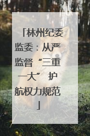 林州纪委监委：从严监督“三重一大” 护航权力规范