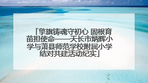 擎旗铸魂守初心 固根育苗担使命——天长市炳辉小学与萧县师范学校附属小学结对共建活动纪实