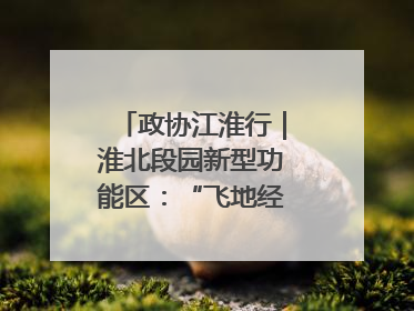 政协江淮行｜淮北段园新型功能区：“飞地经济”拔节生长