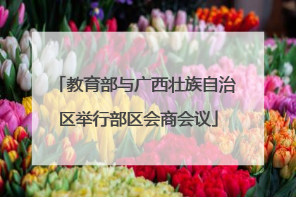 教育部与广西壮族自治区举行部区会商会议