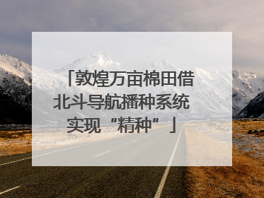 敦煌万亩棉田借北斗导航播种系统实现“精种”