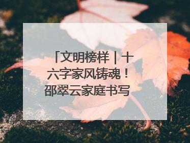 文明榜样｜十六字家风铸魂！邵翠云家庭书写大爱故事
