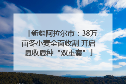 新疆阿拉尔市：38万亩冬小麦全面收割 开启夏收夏种“双重奏”