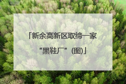 新余高新区取缔一家“黑鞋厂”(图)