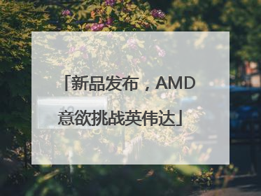 新品发布，AMD意欲挑战英伟达