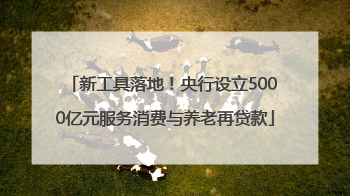 新工具落地！央行设立5000亿元服务消费与养老再贷款