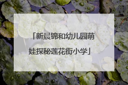 新晨锦和幼儿园萌娃探秘莲花街小学