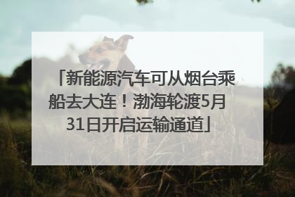 新能源汽车可从烟台乘船去大连！渤海轮渡5月31日开启运输通道