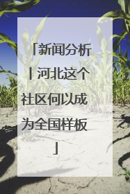 新闻分析丨河北这个社区何以成为全国样板