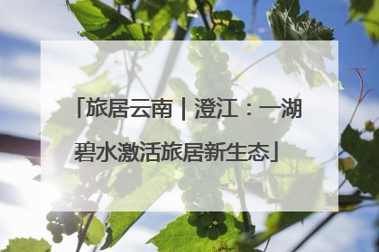 旅居云南｜澄江：一湖碧水激活旅居新生态