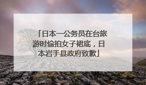 日本一公务员在台旅游时偷拍女子裙底，日本岩手县政府致歉