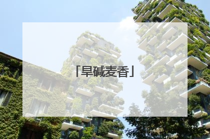 旱碱麦香