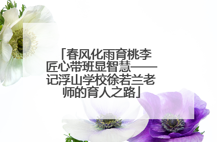 春风化雨育桃李 匠心带班显智慧——记浮山学校徐若兰老师的育人之路