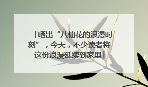 晒出“八仙花的浪漫时刻”，今天，不少读者将这份浪漫延续到家里