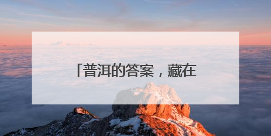 普洱的答案，藏在万物共生的和鸣里
