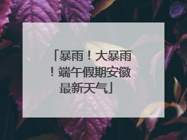 暴雨！大暴雨！端午假期安徽最新天气