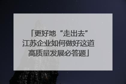 更好地“走出去” 江苏企业如何做好这道高质量发展必答题