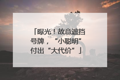 曝光！故意遮挡号牌，“小聪明”付出“大代价”