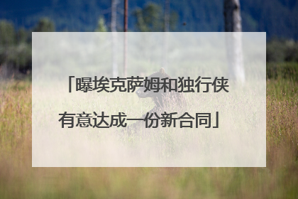 曝埃克萨姆和独行侠有意达成一份新合同