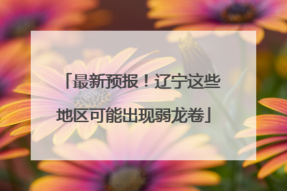 最新预报！辽宁这些地区可能出现弱龙卷