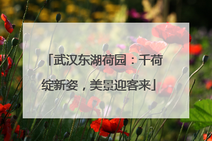 武汉东湖荷园：千荷绽新姿，美景迎客来