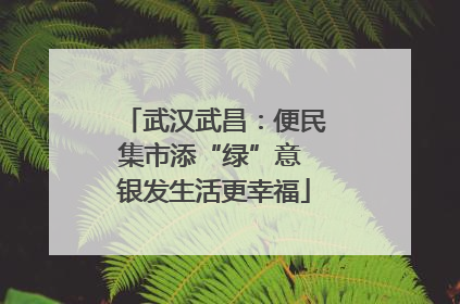 武汉武昌：便民集市添“绿”意 银发生活更幸福