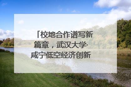 校地合作谱写新篇章，武汉大学·咸宁低空经济创新研究院签约成立