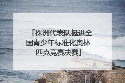 株洲代表队挺进全国青少年标准化奥林匹克竞赛决赛