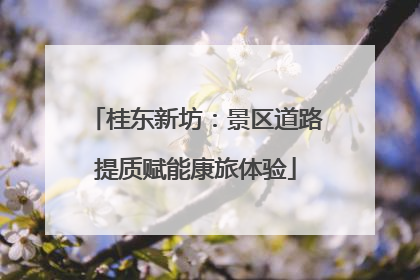 桂东新坊：景区道路提质赋能康旅体验