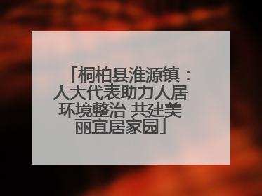 桐柏县淮源镇：人大代表助力人居环境整治 共建美丽宜居家园