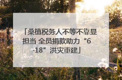桑植税务人不等不靠显担当 全员捐款助力“6·18”洪灾重建