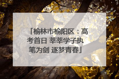 榆林市榆阳区：高考首日 莘莘学子执笔为剑 逐梦青春