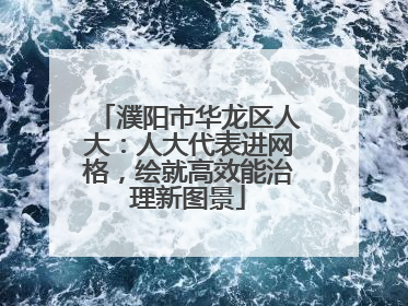 濮阳市华龙区人大：人大代表进网格，绘就高效能治理新图景
