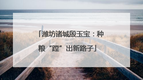 潍坊诸城殷玉宝：种粮“蹚”出新路子