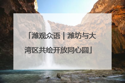 潍观众语｜潍坊与大湾区共绘开放同心圆