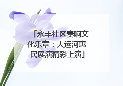 永丰社区奏响文化乐章：大运河惠民展演精彩上演